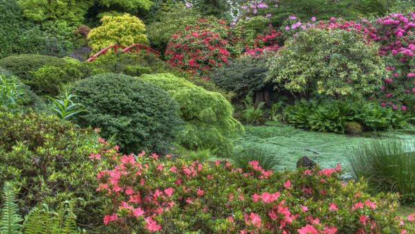 Sun through leaves creating gentle green tones